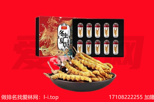 平坝区回收虫草.jpg